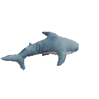 Blahaj Moving